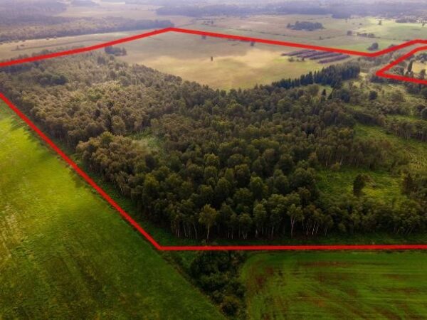 Attraktives Angebot – 139 vielseitige Grundstücke mit einer Gesamtfläche von 476.694 m² - Image 4