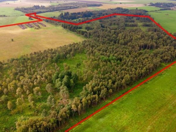 Attraktives Angebot – 139 vielseitige Grundstücke mit einer Gesamtfläche von 476.694 m² - Image 3